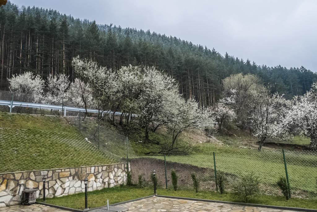 Mini Complex Rilski Terasi Sapareva Banya Exterior photo